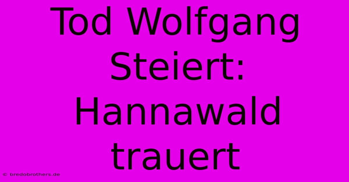 Tod Wolfgang Steiert: Hannawald Trauert