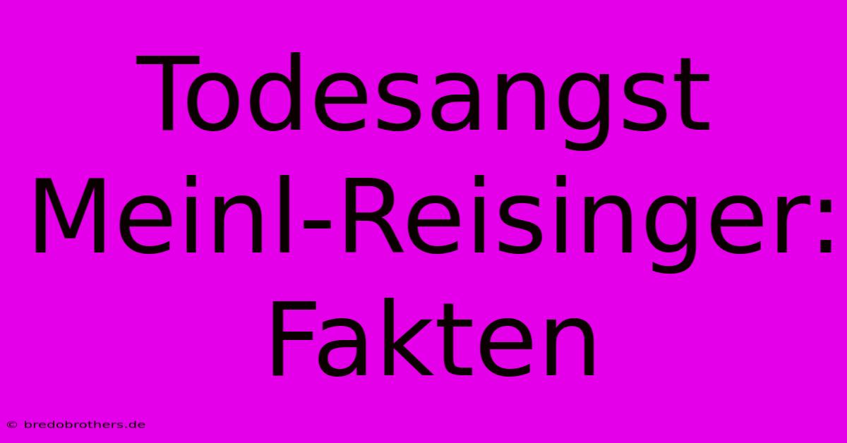 Todesangst Meinl-Reisinger: Fakten