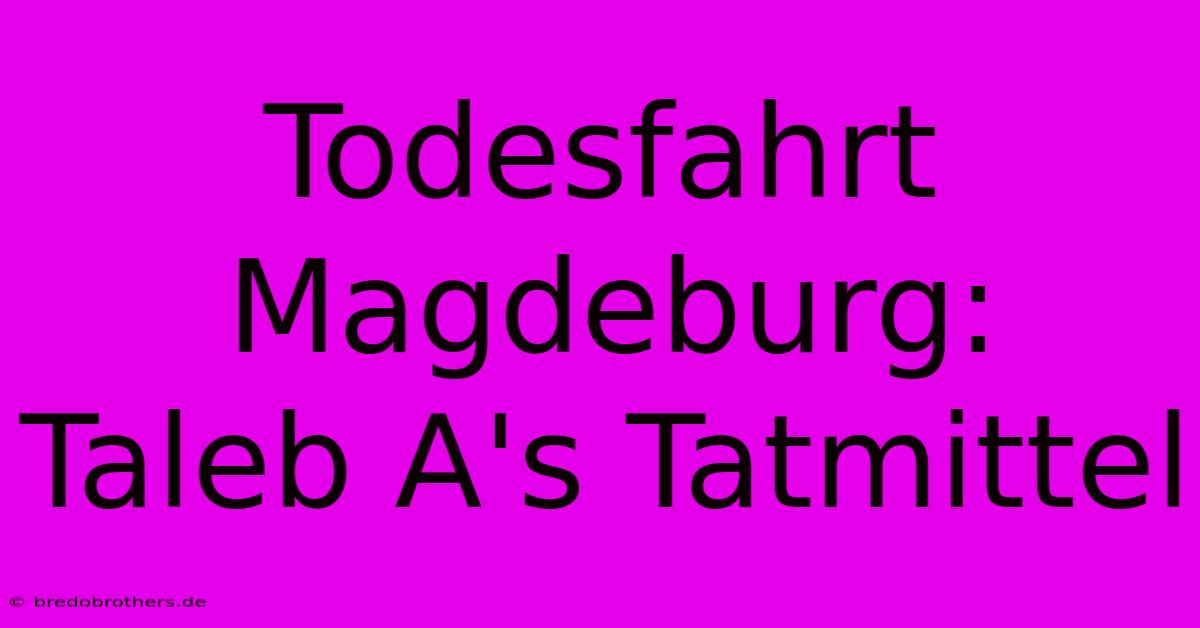 Todesfahrt Magdeburg:  Taleb A's Tatmittel