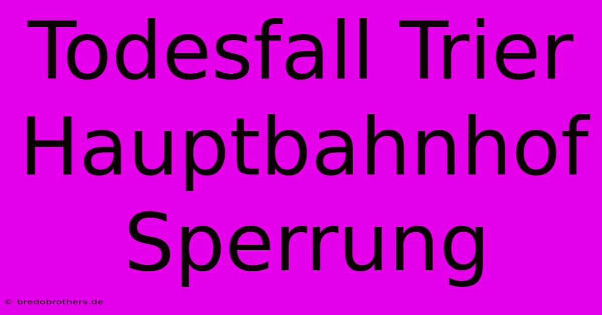 Todesfall Trier Hauptbahnhof Sperrung