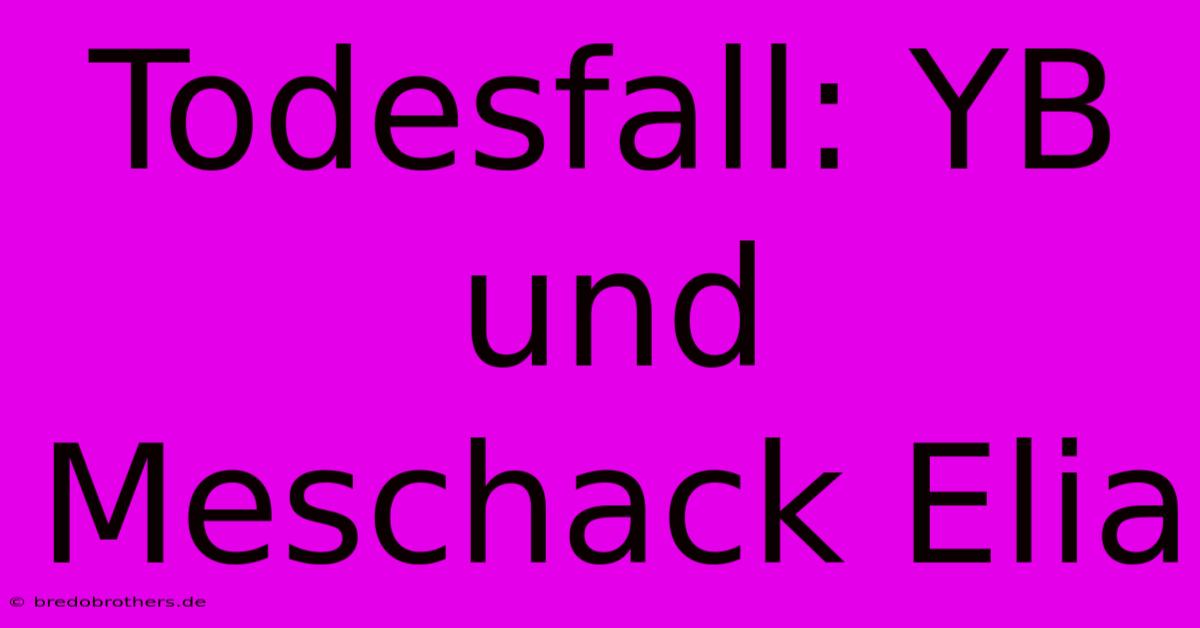 Todesfall: YB Und Meschack Elia