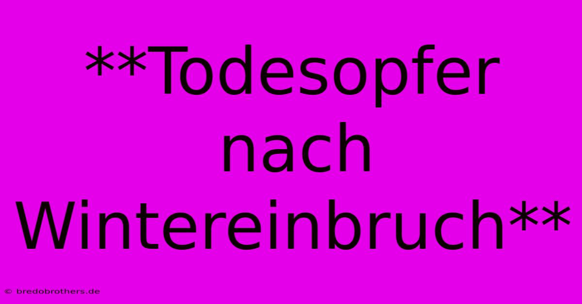 **Todesopfer Nach Wintereinbruch**