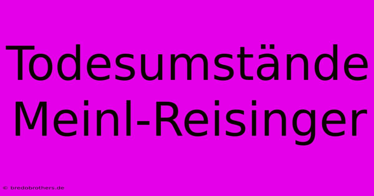 Todesumstände Meinl-Reisinger