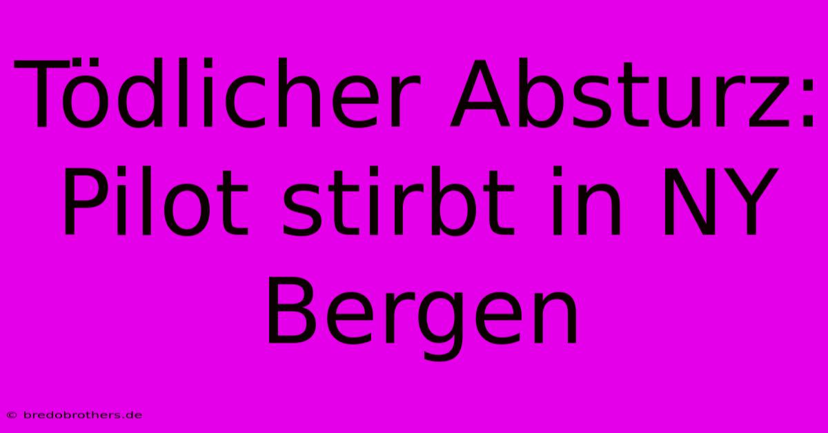 Tödlicher Absturz: Pilot Stirbt In NY Bergen