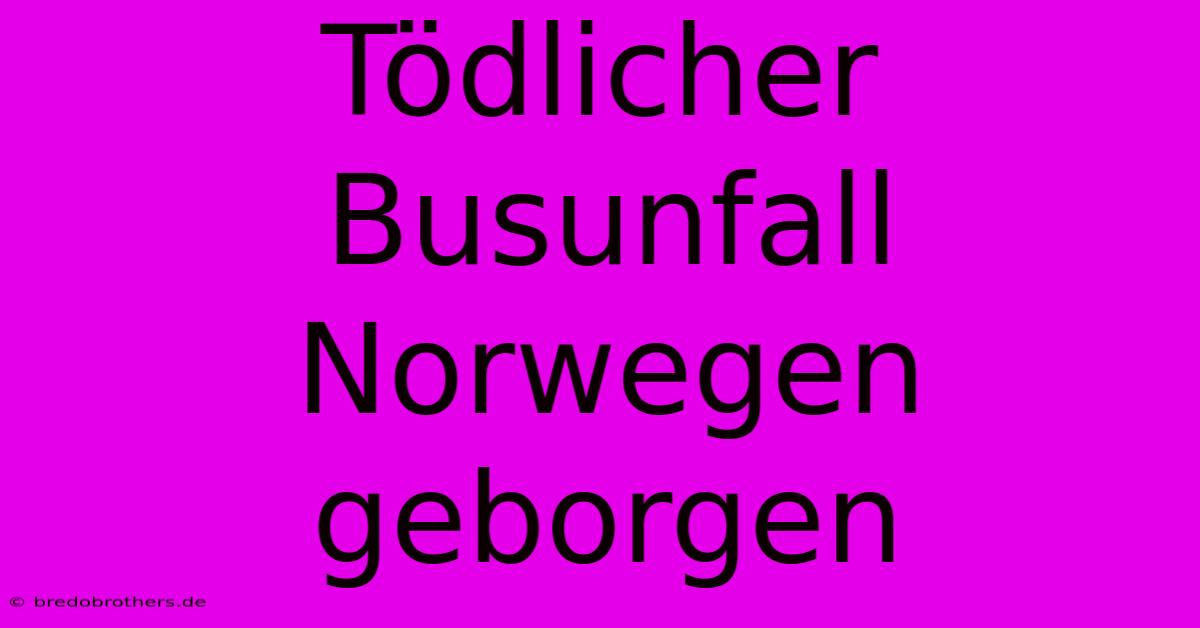 Tödlicher Busunfall Norwegen Geborgen