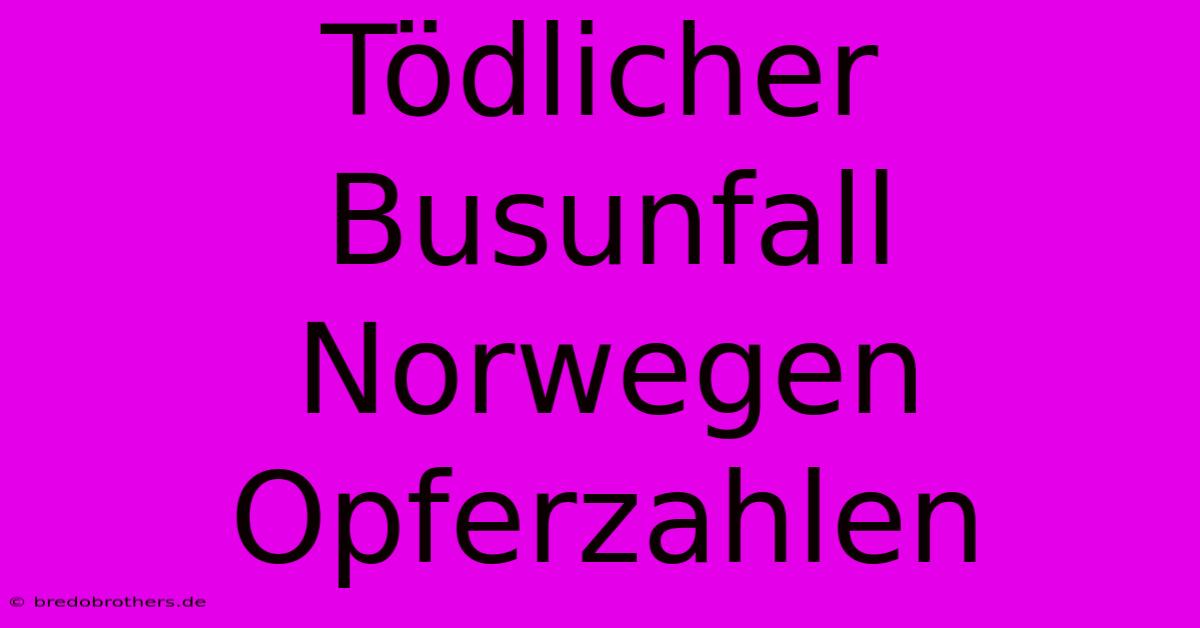 Tödlicher Busunfall Norwegen Opferzahlen