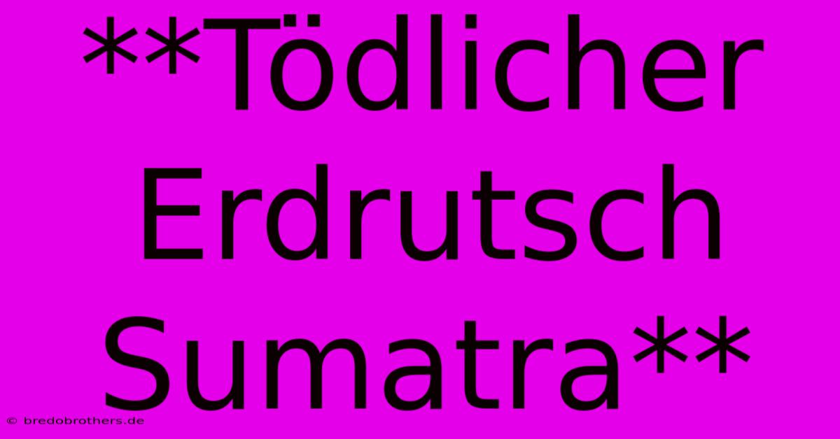 **Tödlicher Erdrutsch Sumatra**