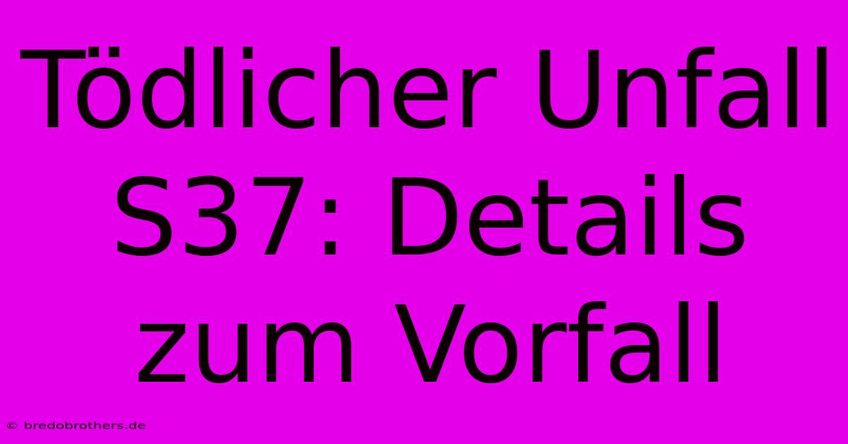 Tödlicher Unfall S37: Details Zum Vorfall