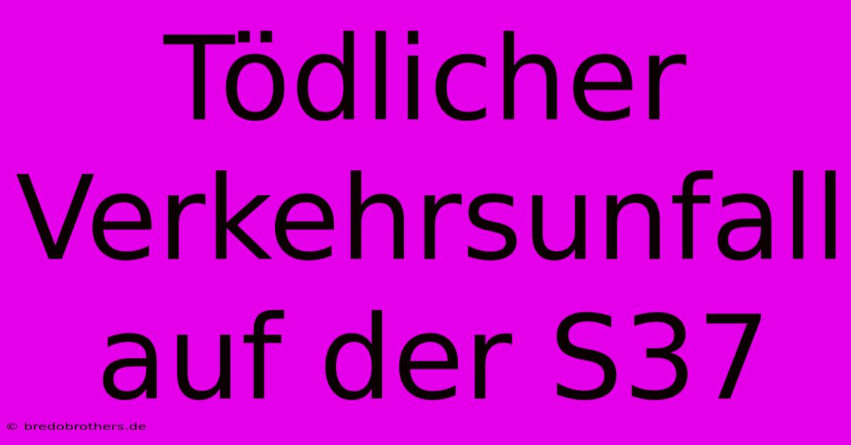 Tödlicher Verkehrsunfall Auf Der S37