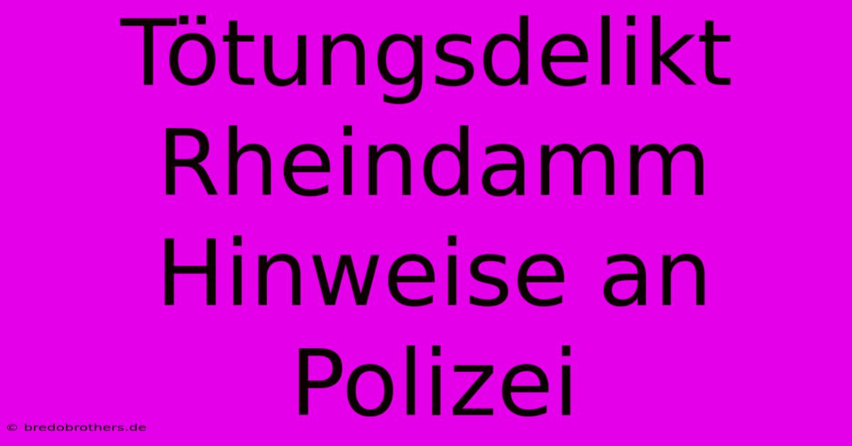 Tötungsdelikt Rheindamm Hinweise An Polizei