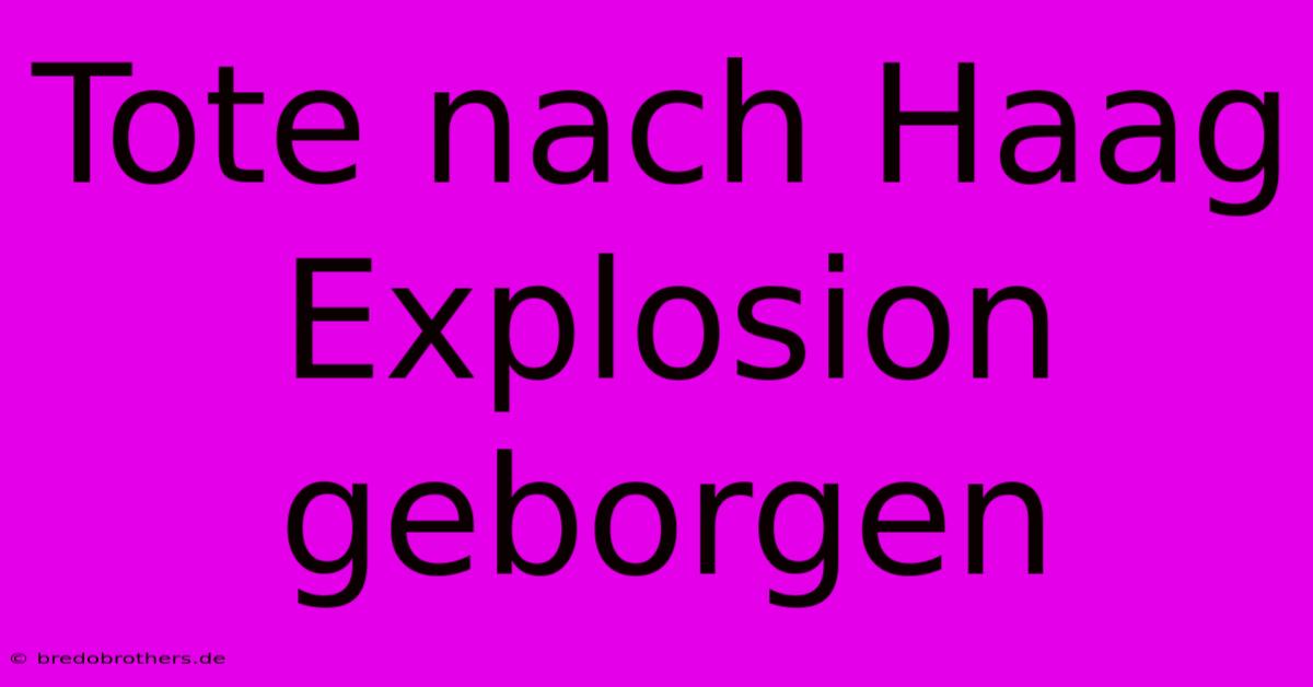 Tote Nach Haag Explosion Geborgen