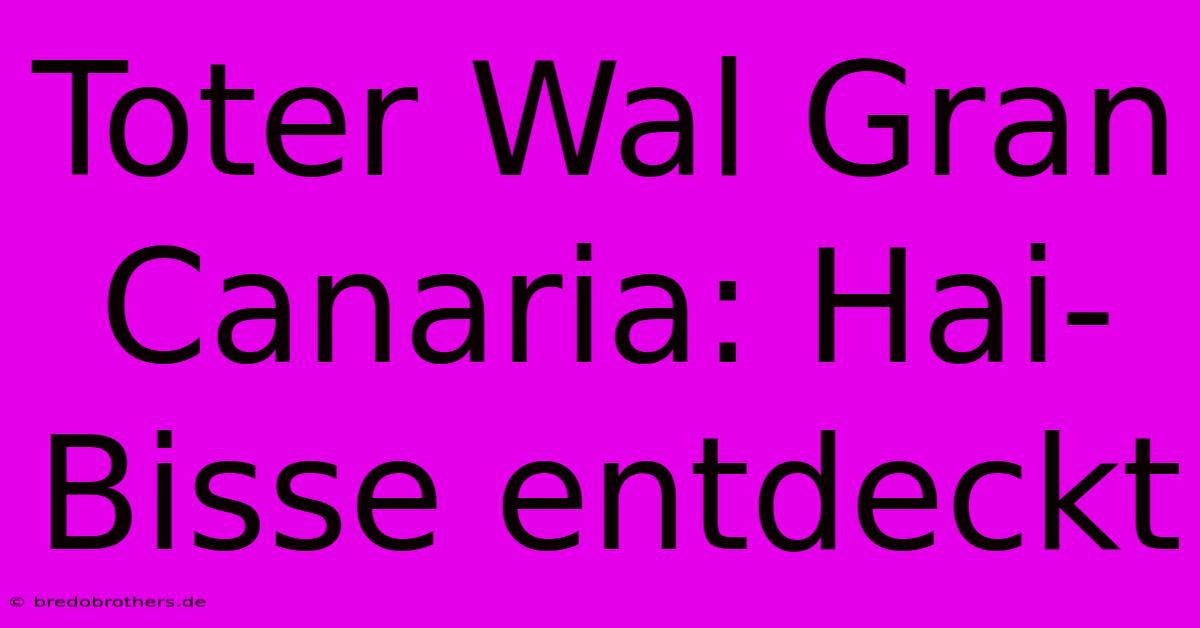 Toter Wal Gran Canaria: Hai-Bisse Entdeckt