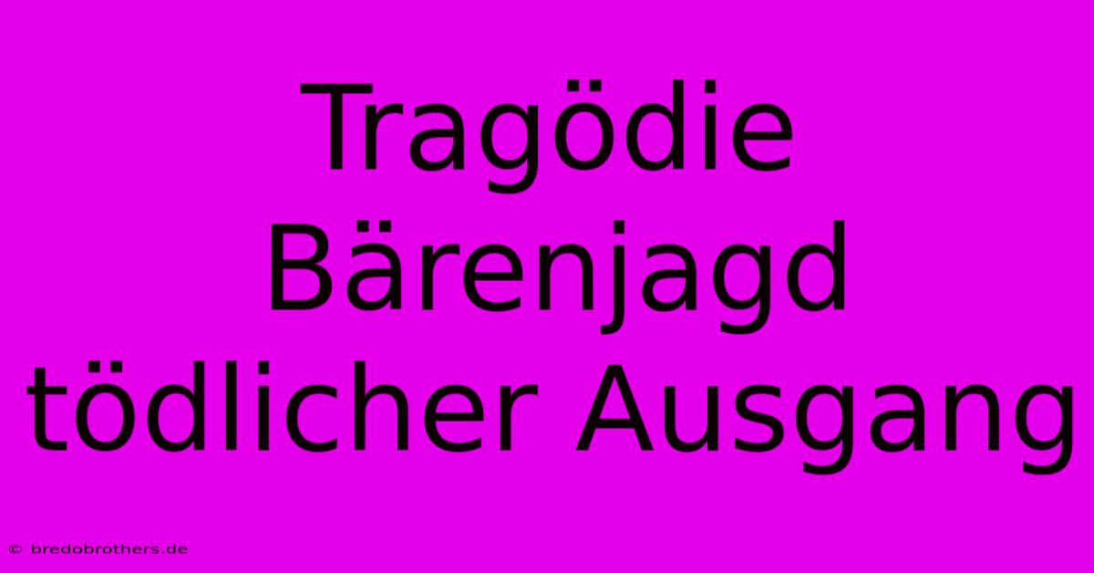 Tragödie Bärenjagd Tödlicher Ausgang