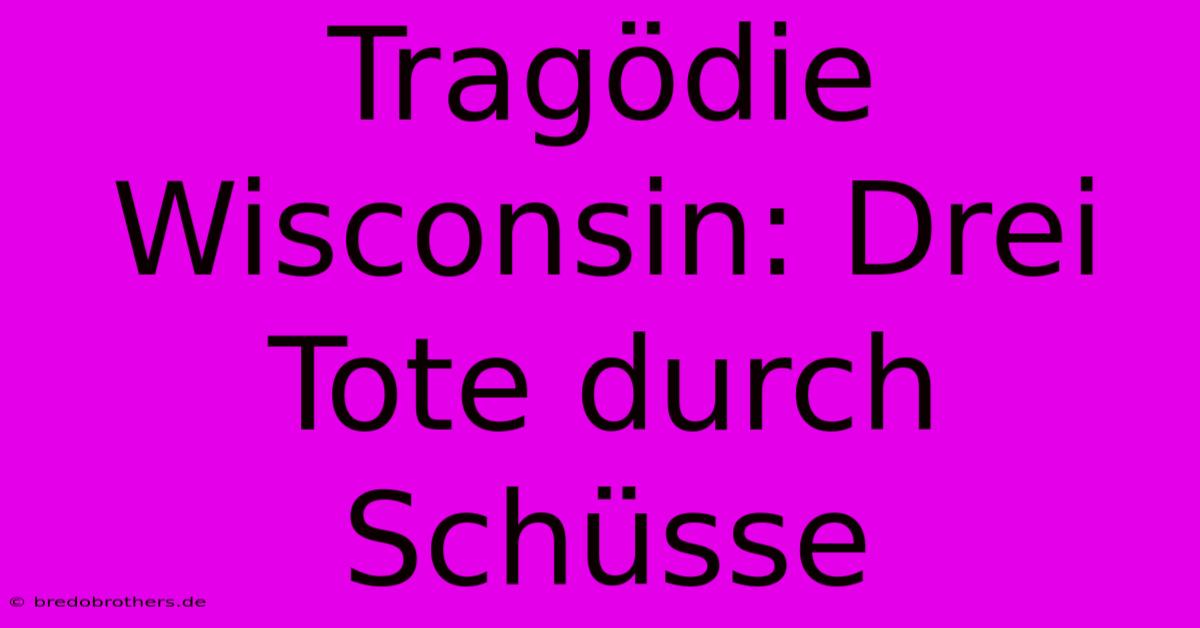 Tragödie Wisconsin: Drei Tote Durch Schüsse