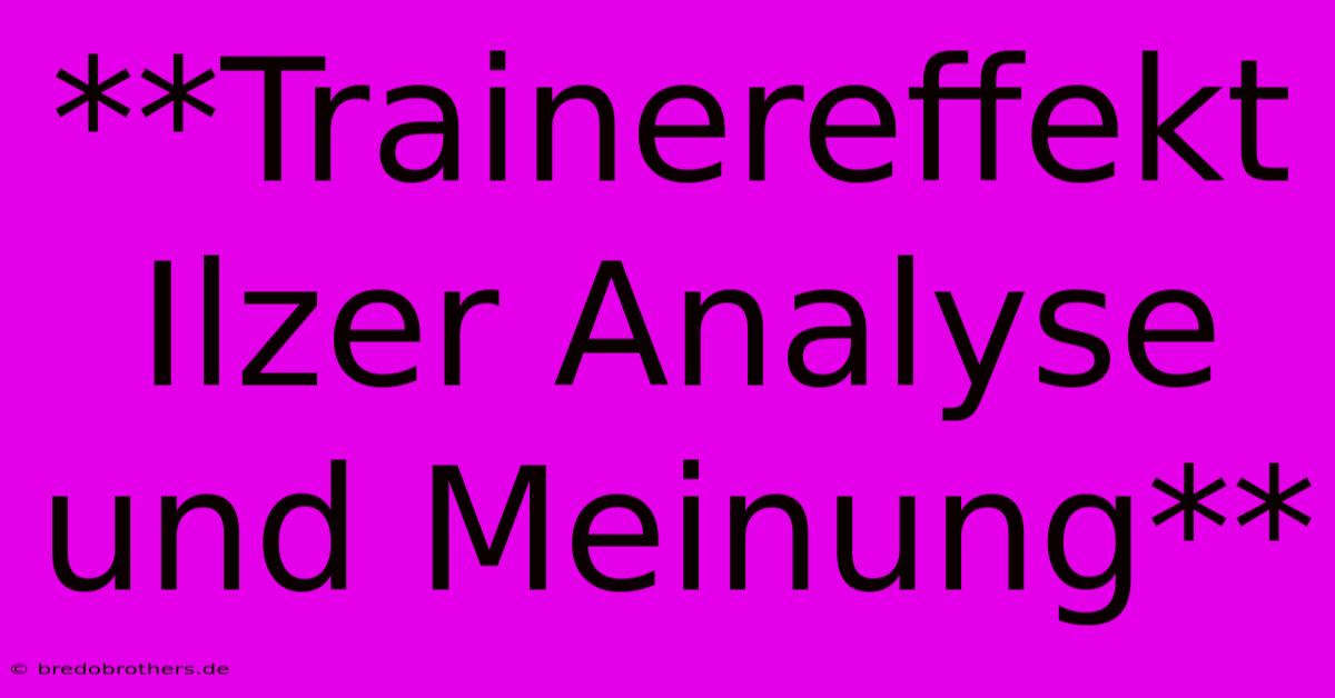 **Trainereffekt Ilzer Analyse Und Meinung**