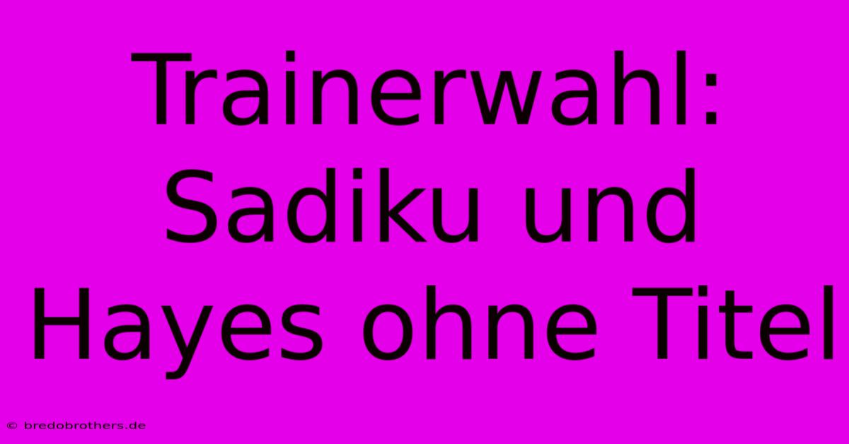 Trainerwahl: Sadiku Und Hayes Ohne Titel