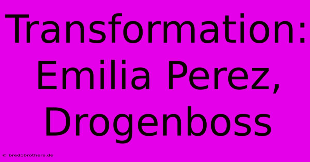 Transformation: Emilia Perez, Drogenboss