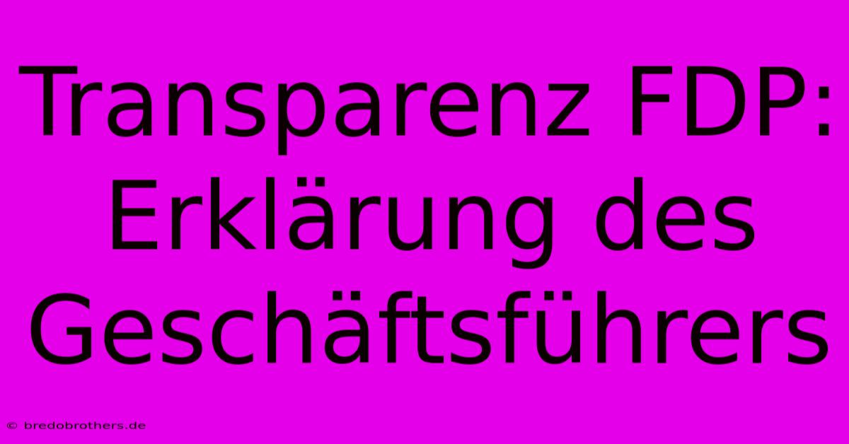 Transparenz FDP: Erklärung Des Geschäftsführers