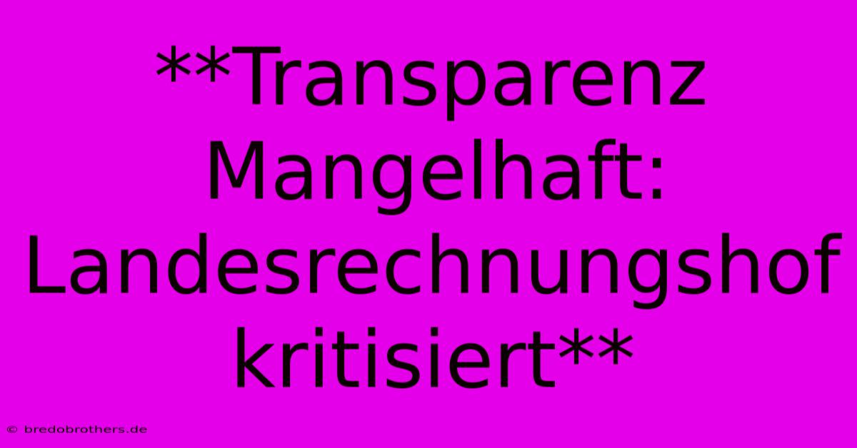 **Transparenz Mangelhaft: Landesrechnungshof Kritisiert** 