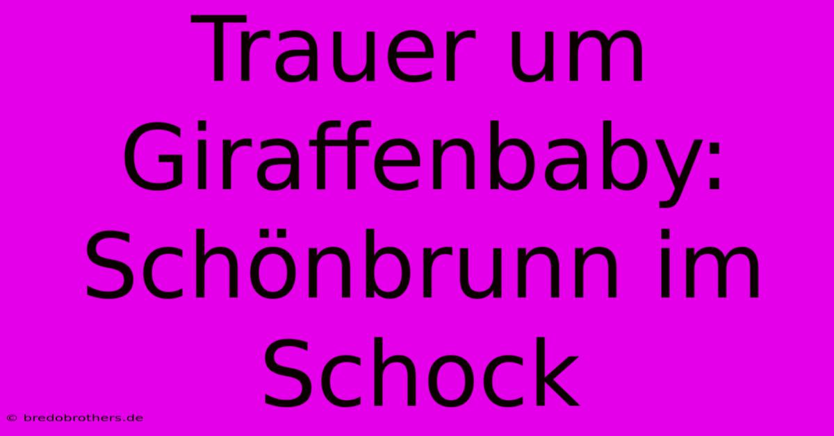 Trauer Um Giraffenbaby: Schönbrunn Im Schock