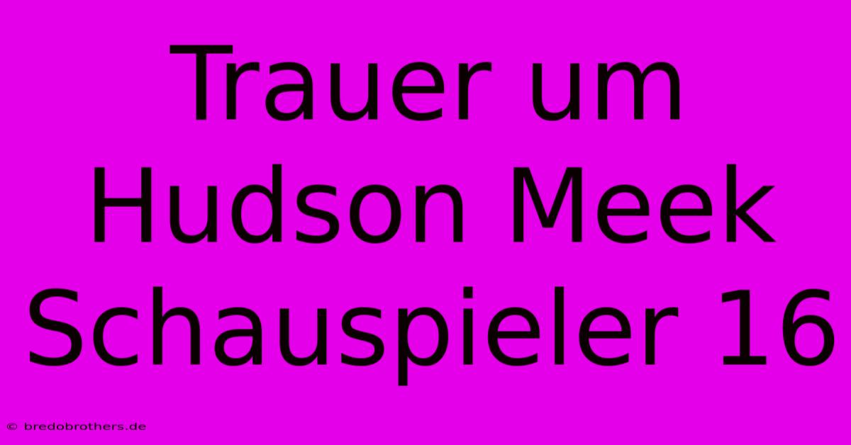 Trauer Um Hudson Meek Schauspieler 16