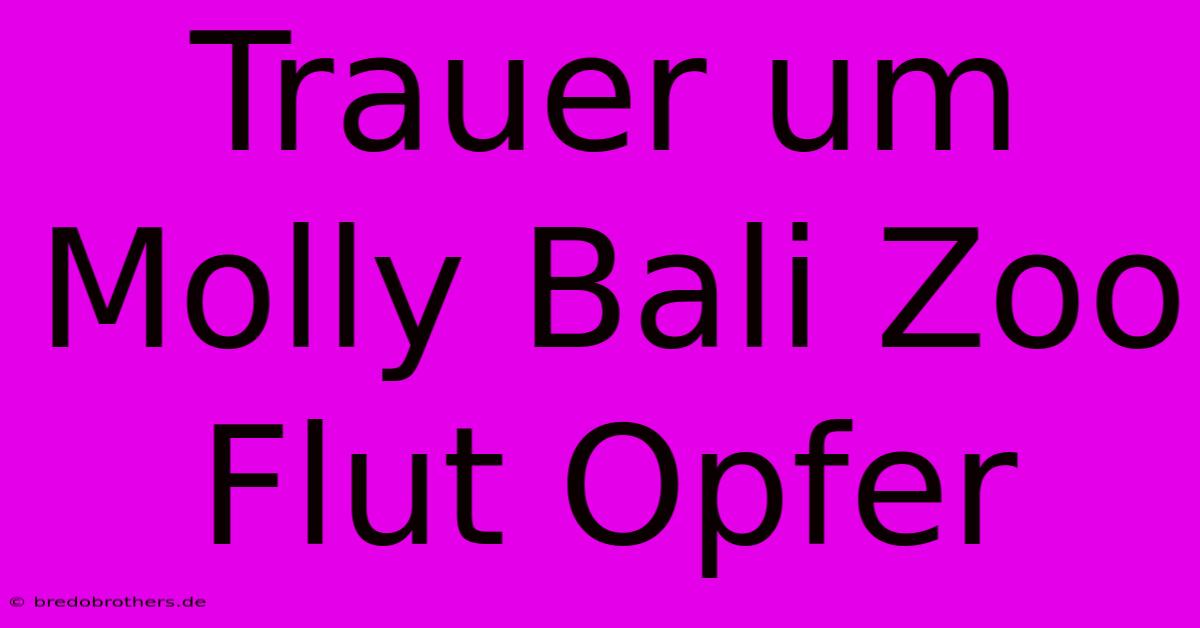 Trauer Um Molly Bali Zoo Flut Opfer