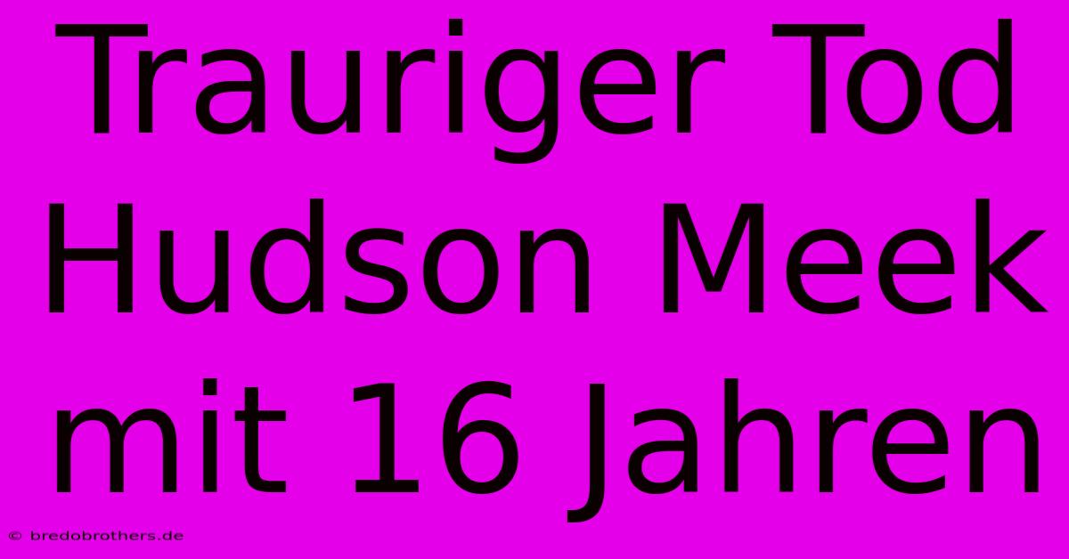 Trauriger Tod Hudson Meek Mit 16 Jahren