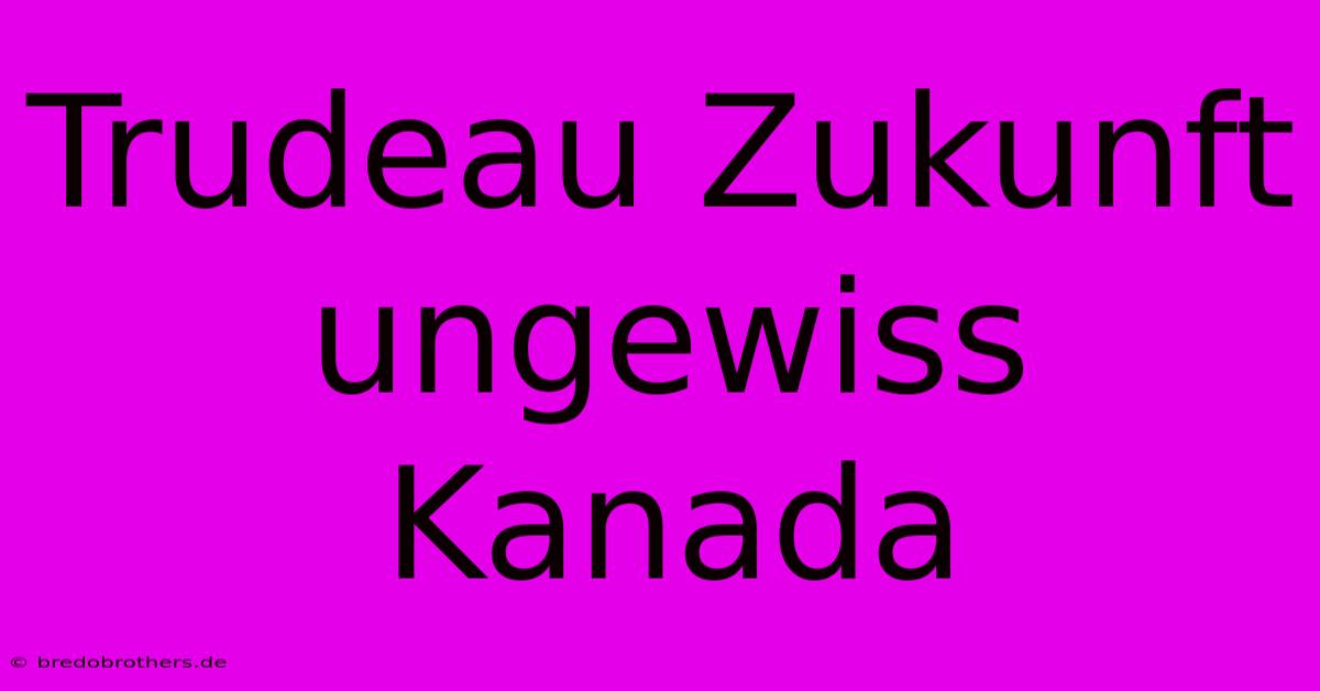 Trudeau Zukunft Ungewiss Kanada