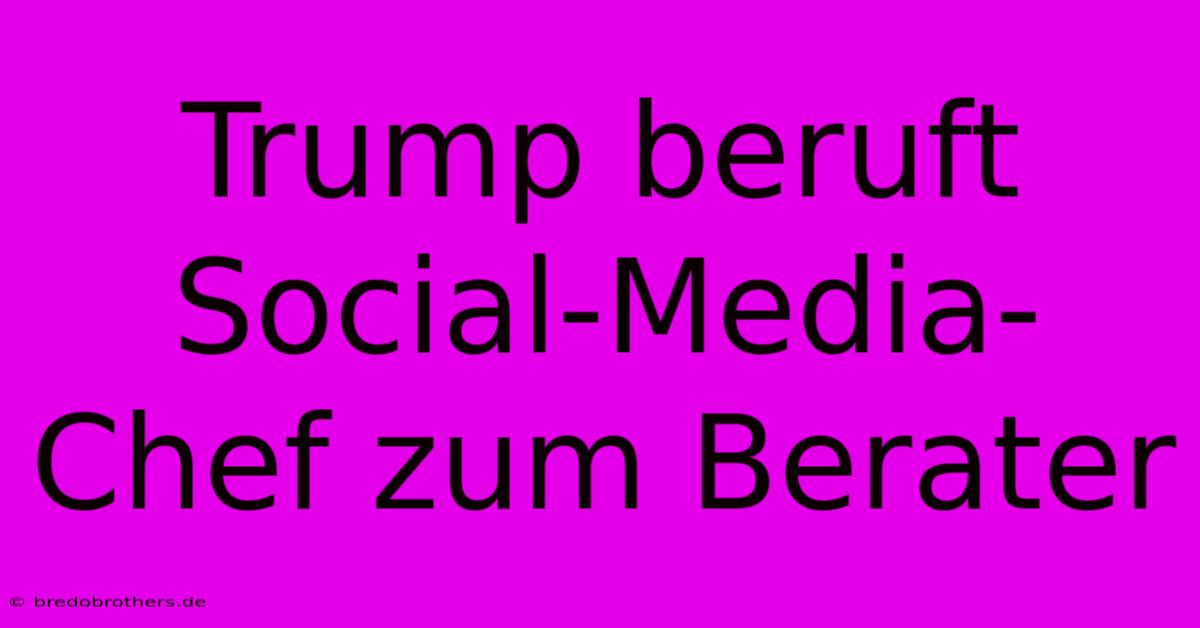 Trump Beruft Social-Media-Chef Zum Berater