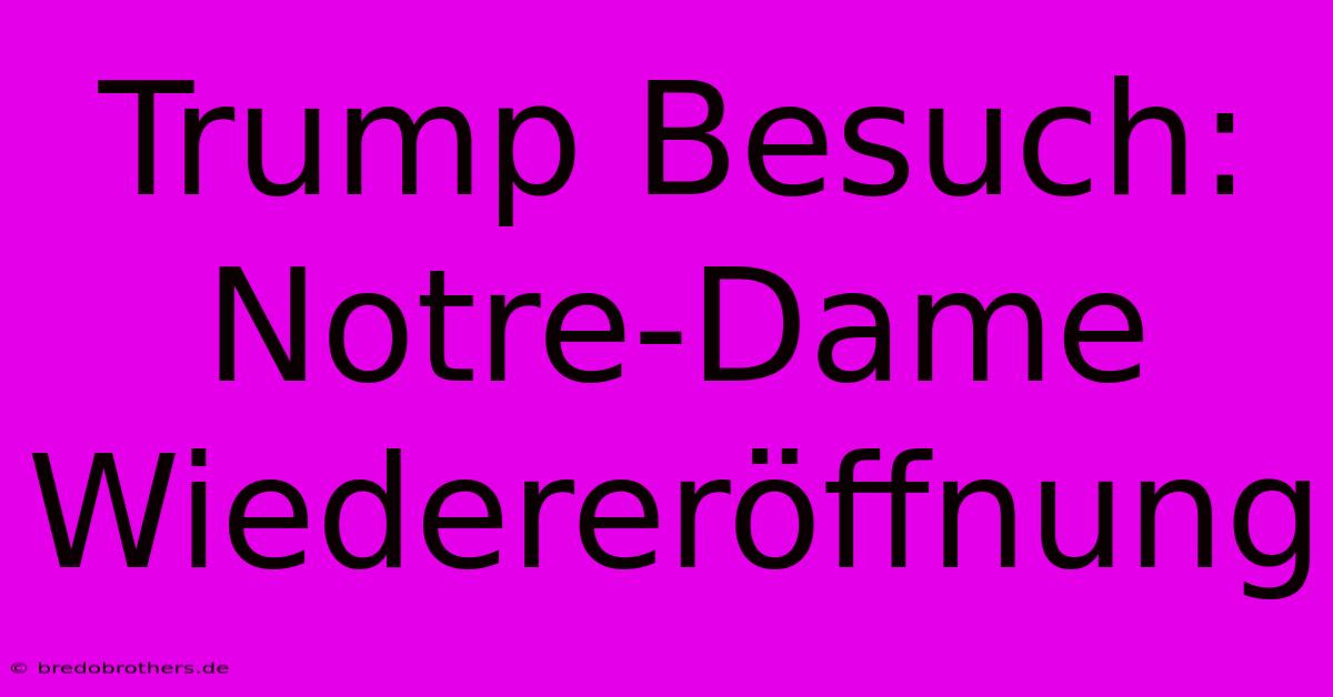 Trump Besuch: Notre-Dame Wiedereröffnung