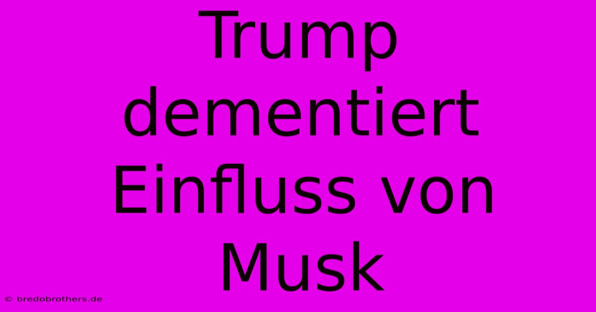 Trump Dementiert Einfluss Von Musk