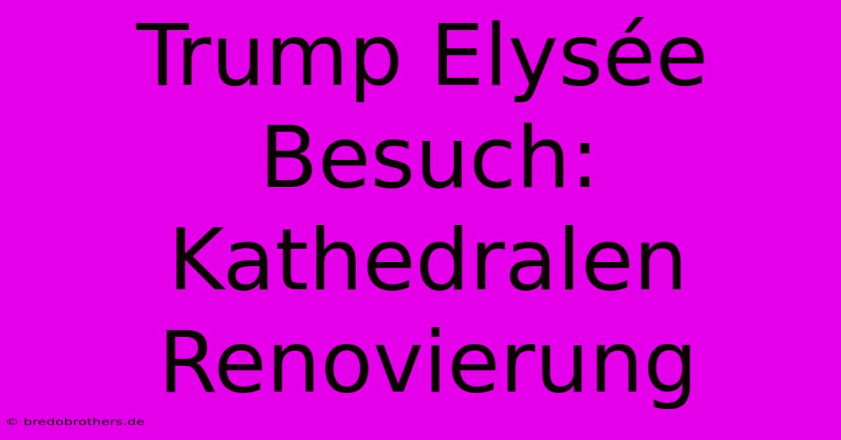 Trump Elysée Besuch: Kathedralen Renovierung