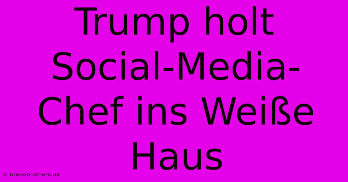 Trump Holt Social-Media-Chef Ins Weiße Haus