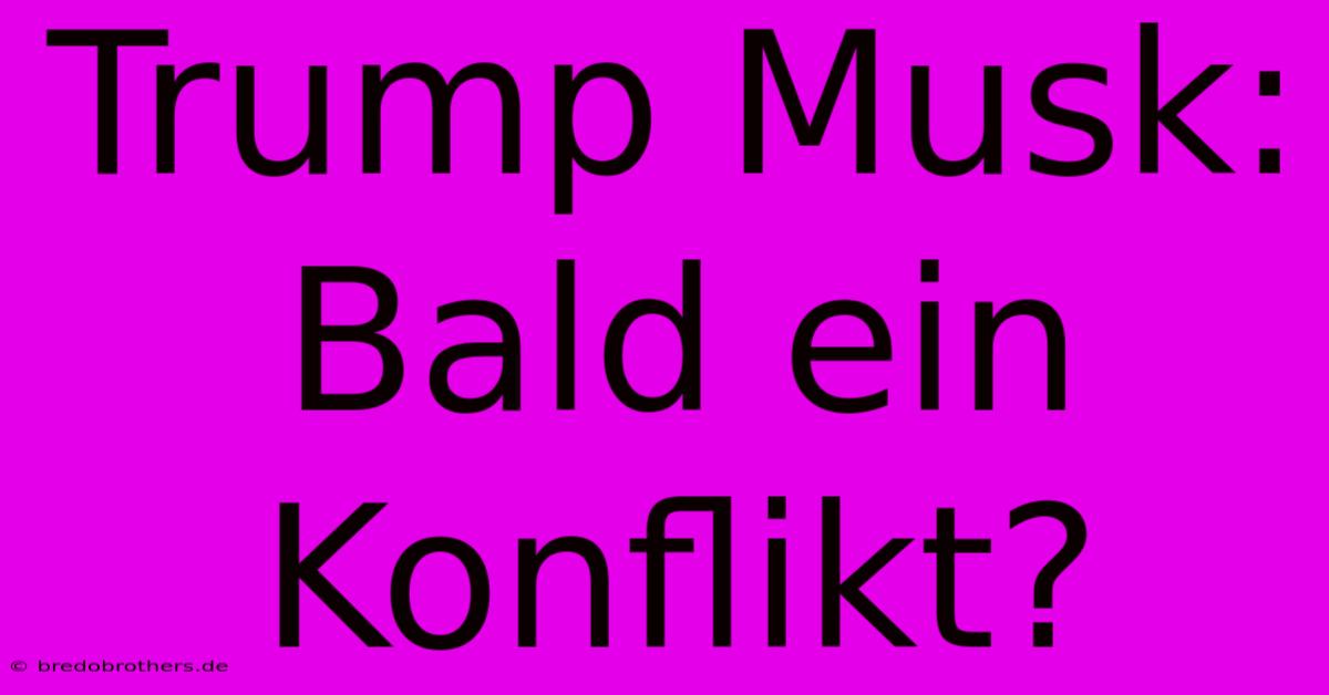 Trump Musk: Bald Ein Konflikt?