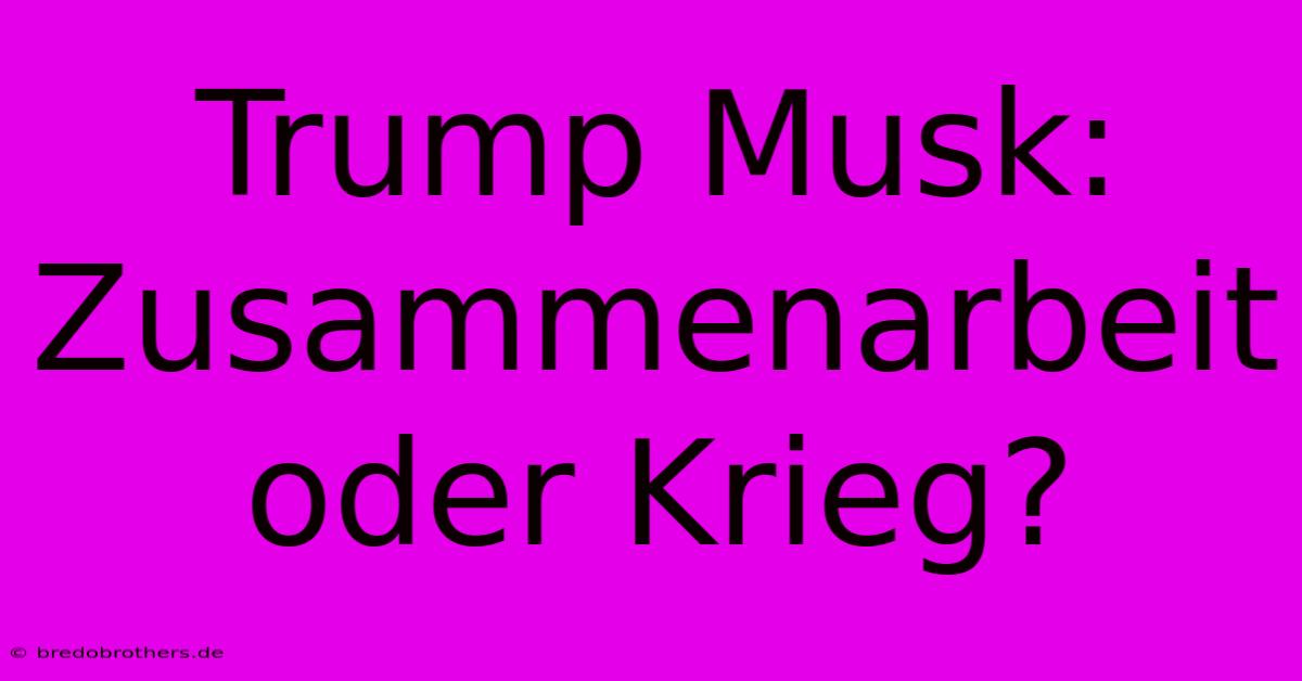 Trump Musk: Zusammenarbeit Oder Krieg?