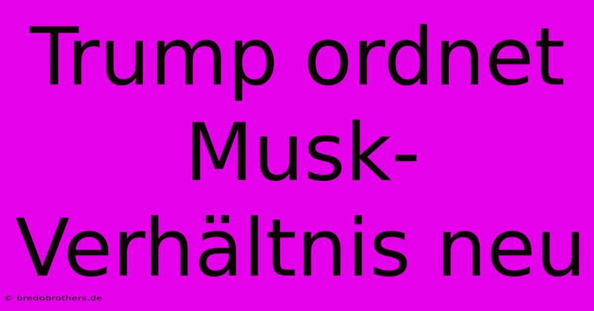 Trump Ordnet Musk-Verhältnis Neu