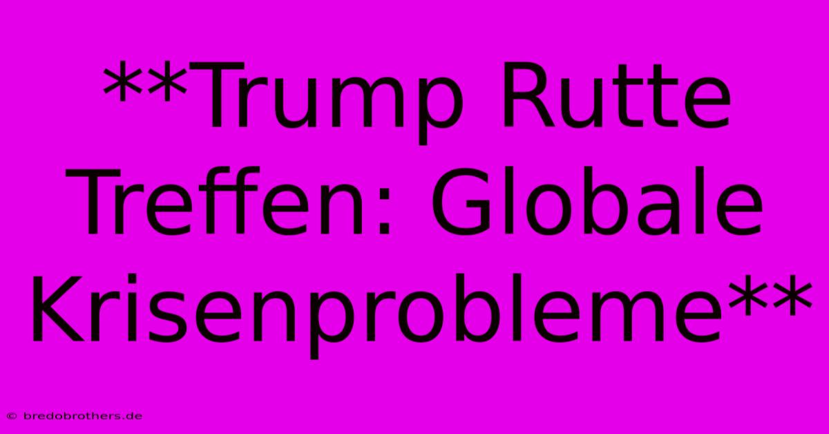 **Trump Rutte Treffen: Globale Krisenprobleme**