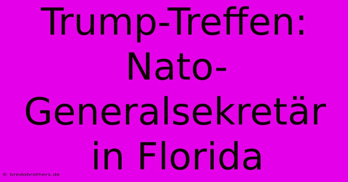 Trump-Treffen: Nato-Generalsekretär In Florida