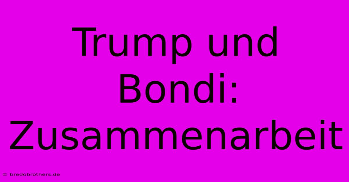 Trump Und Bondi: Zusammenarbeit