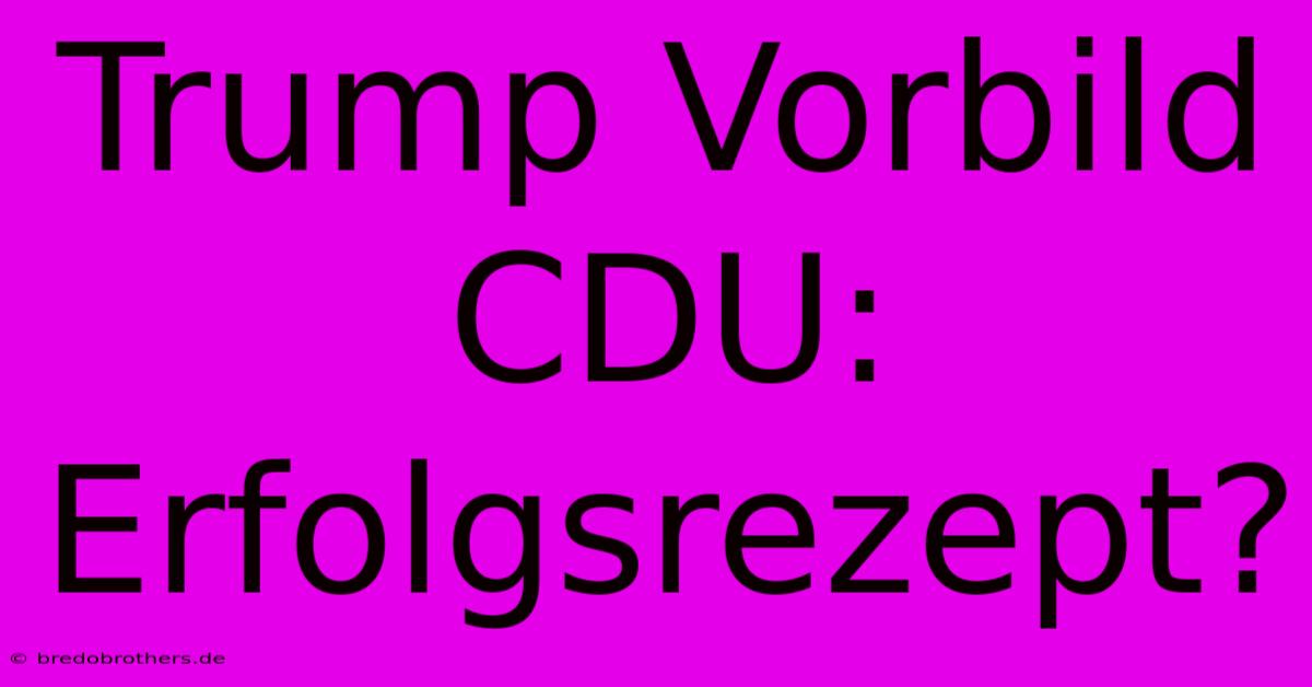 Trump Vorbild CDU:  Erfolgsrezept?