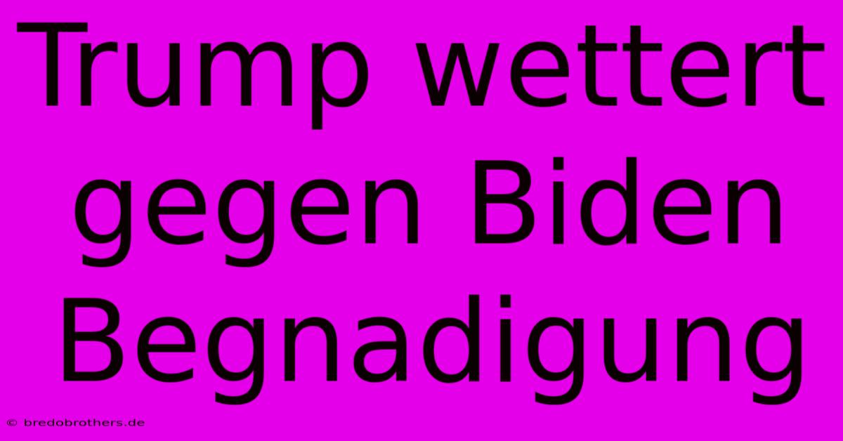 Trump Wettert Gegen Biden  Begnadigung