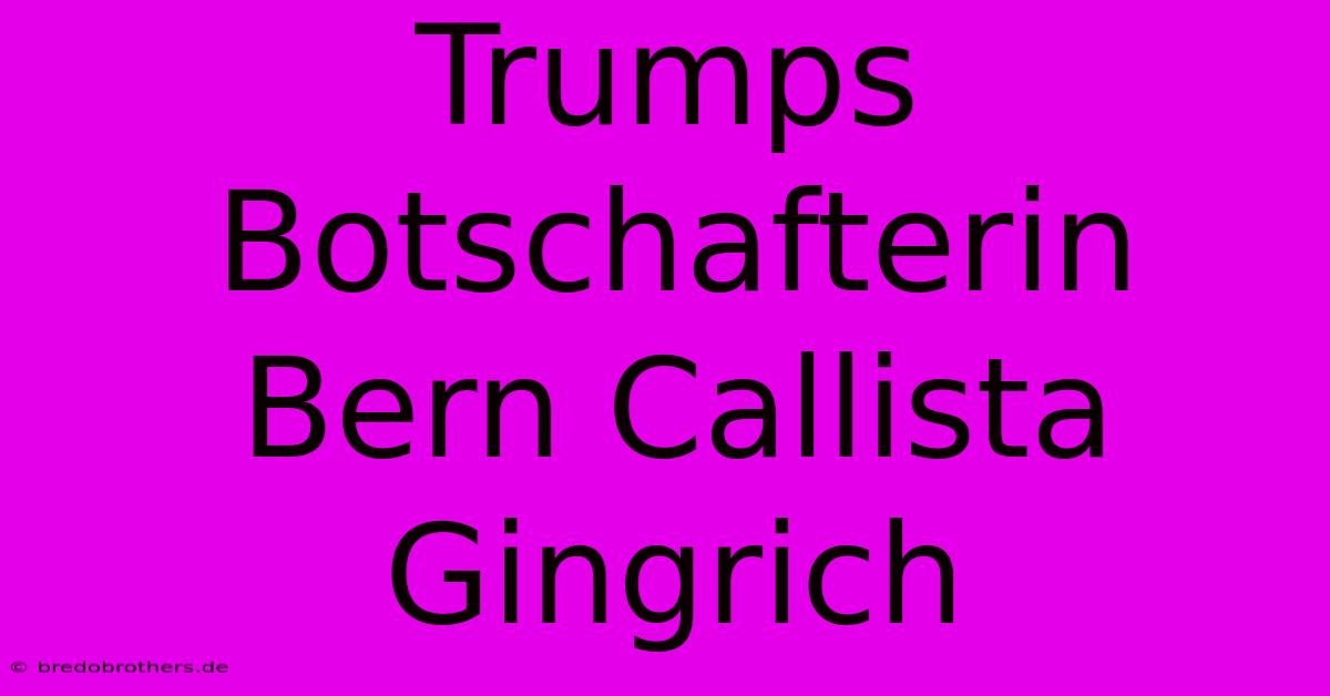 Trumps Botschafterin Bern Callista Gingrich