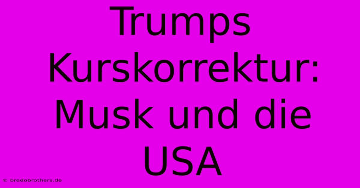 Trumps Kurskorrektur: Musk Und Die USA