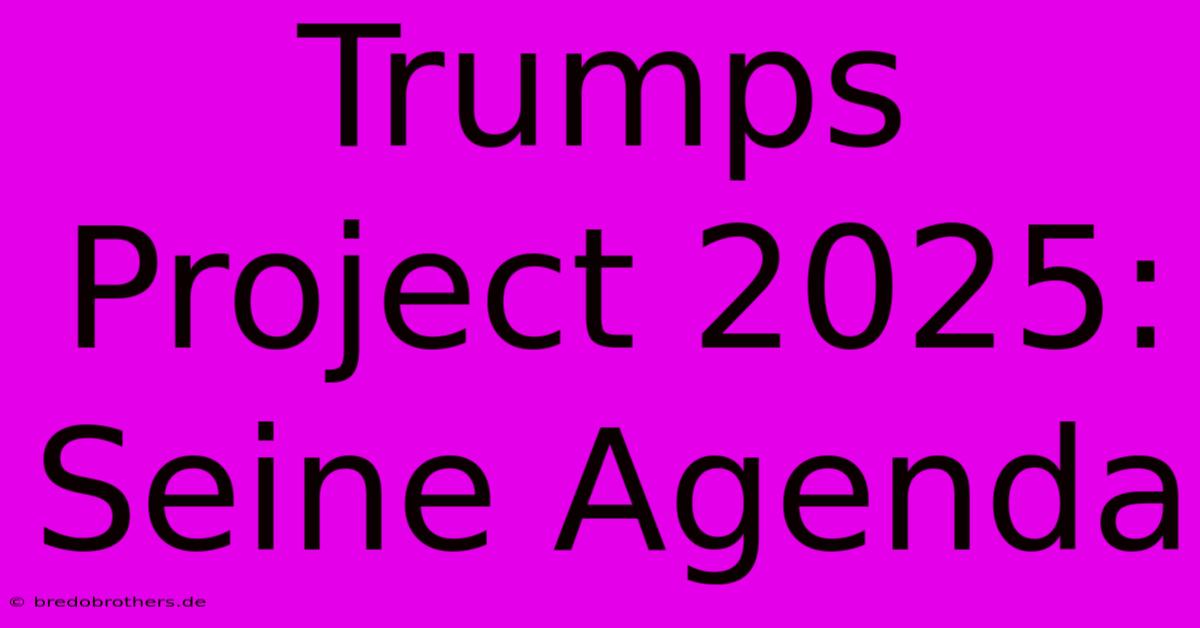 Trumps Project 2025: Seine Agenda