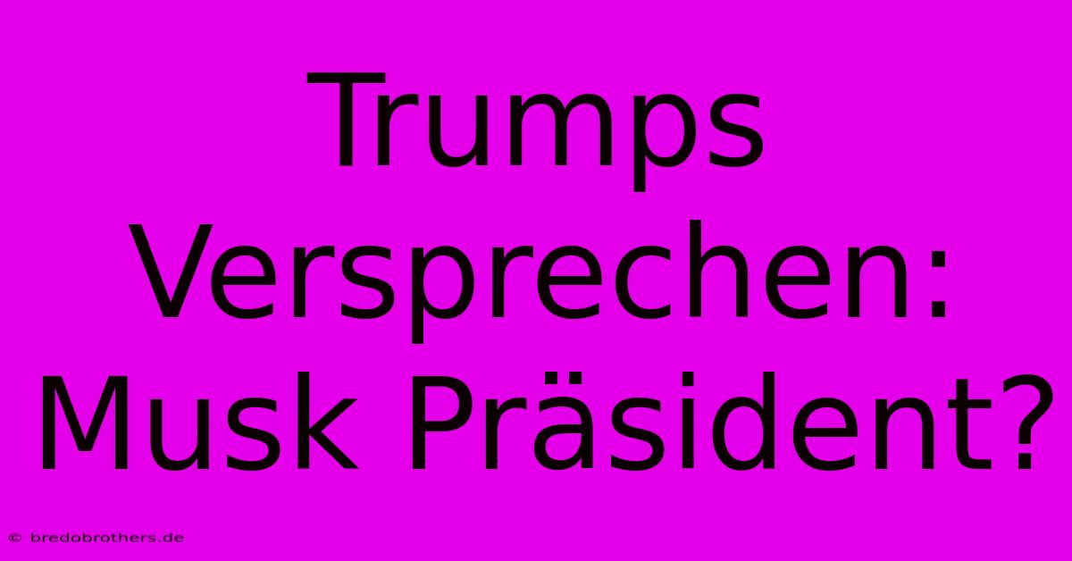 Trumps Versprechen: Musk Präsident?