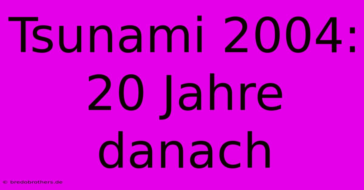 Tsunami 2004: 20 Jahre Danach