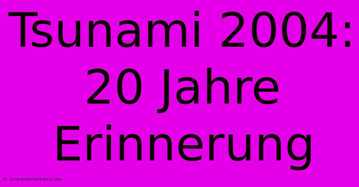 Tsunami 2004: 20 Jahre Erinnerung