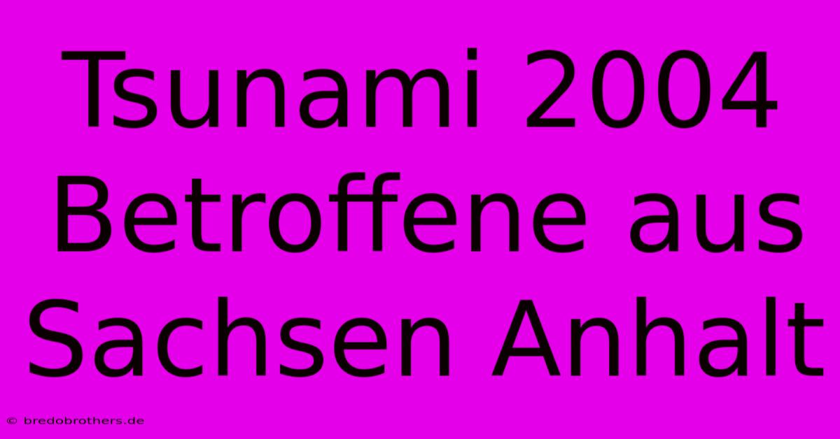 Tsunami 2004 Betroffene Aus Sachsen Anhalt