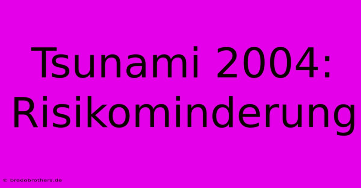 Tsunami 2004:  Risikominderung