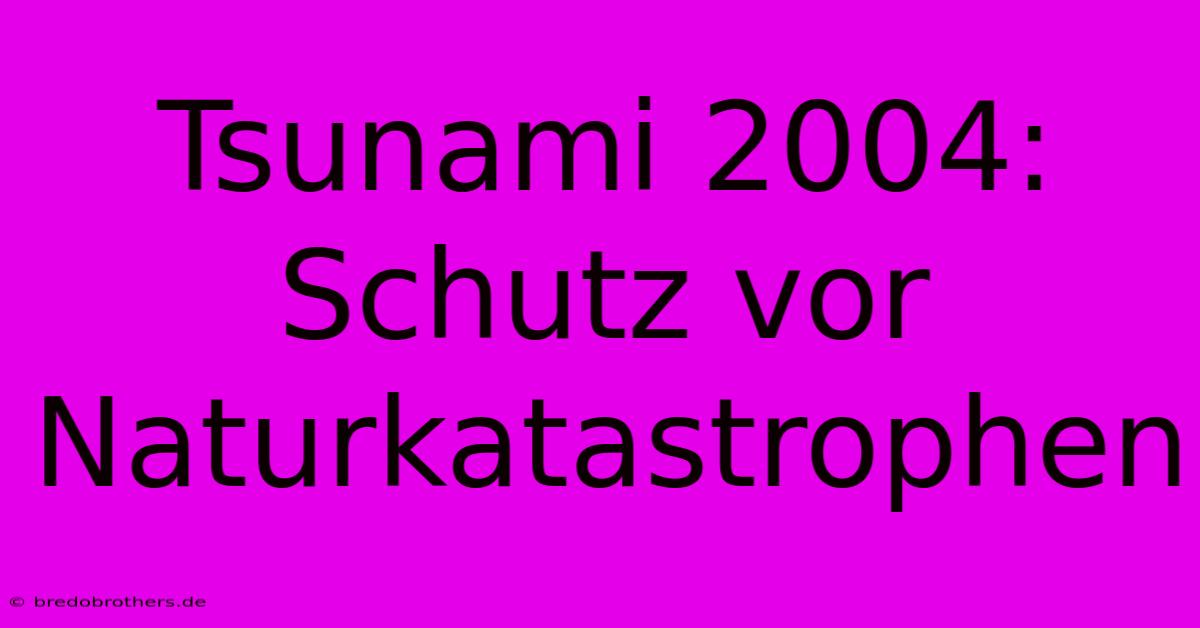 Tsunami 2004:  Schutz Vor Naturkatastrophen